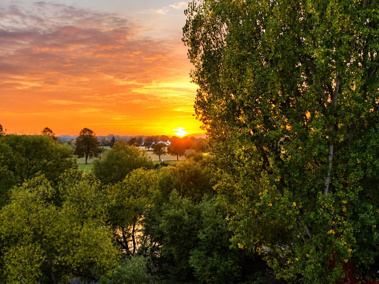 Gepflegte Dachgeschosswohnung mit Mainblick