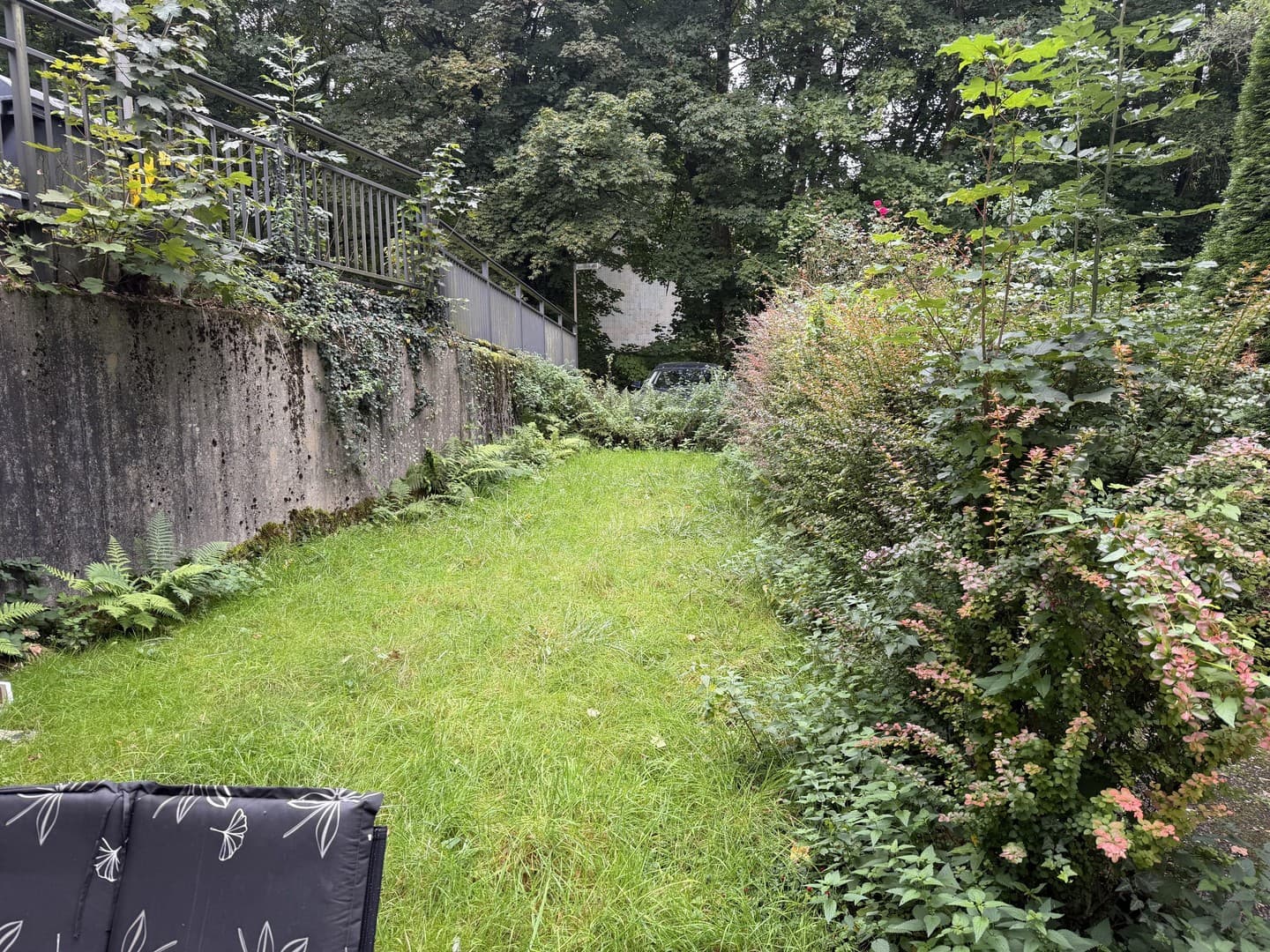 2Zi KDB mit Garten, Solingen Wald, Waldrand, Renoviert, auf Wunsch mit Einbauküche für kleines Geld