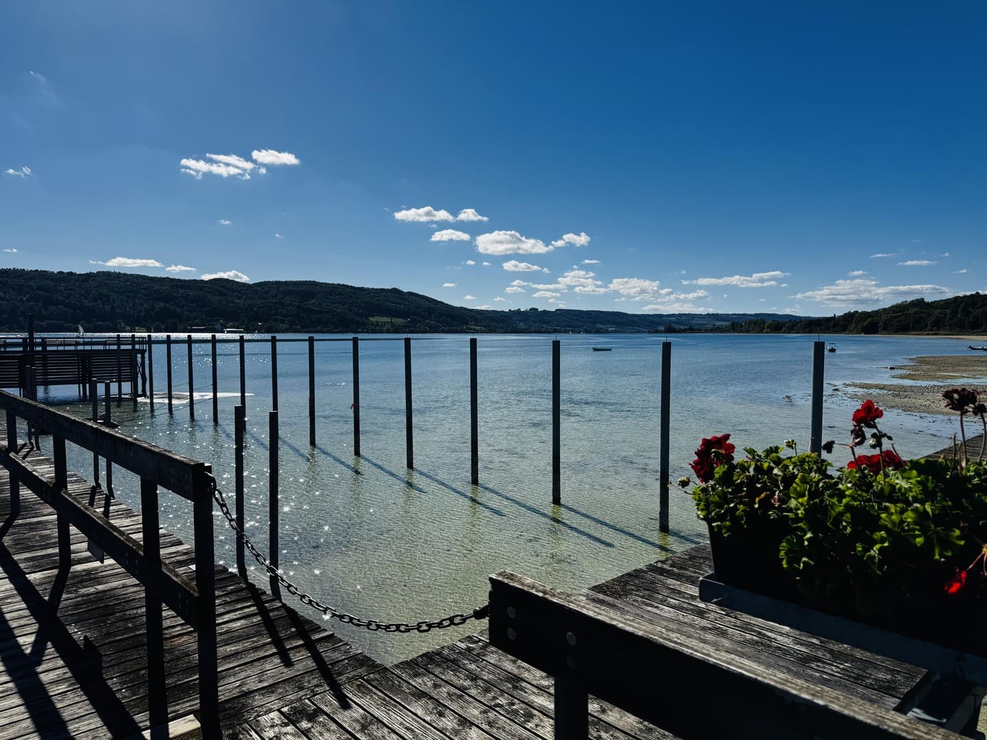 Bodensee vor der Tür, Garten am Haus 3-Zimmer, stilvoll & natürlich