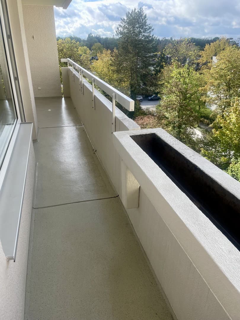 Frisch renovierte Eigentumswohnung mit Balkon, sofort bezugsfrei