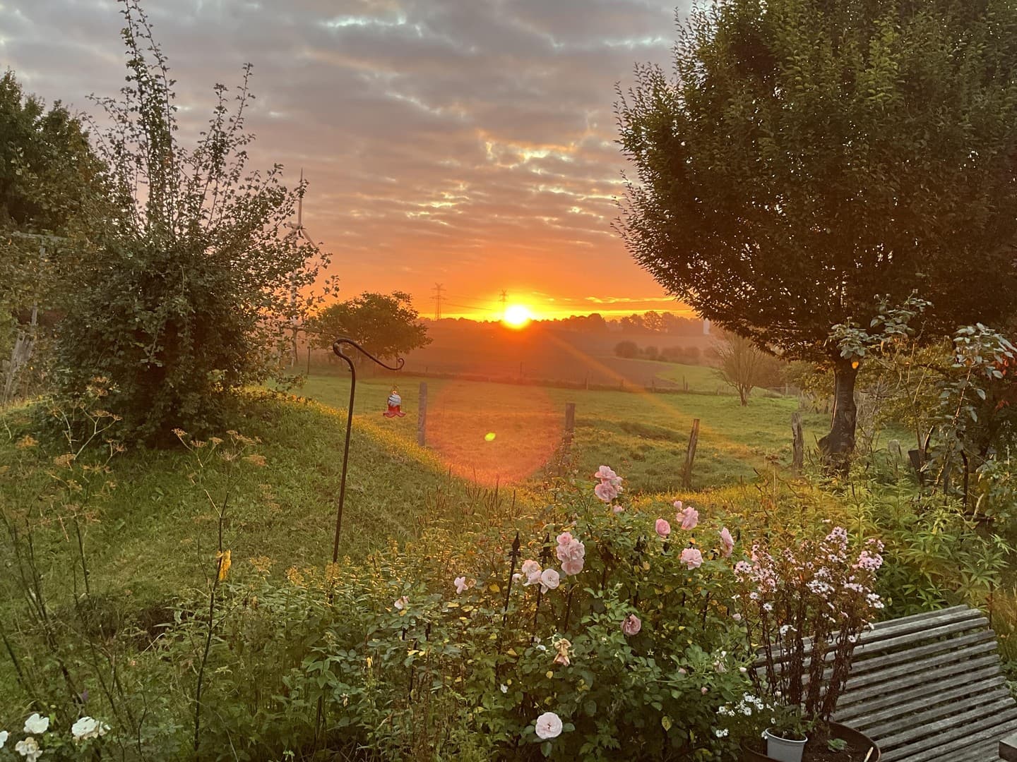 Wohnen mit Weitblick