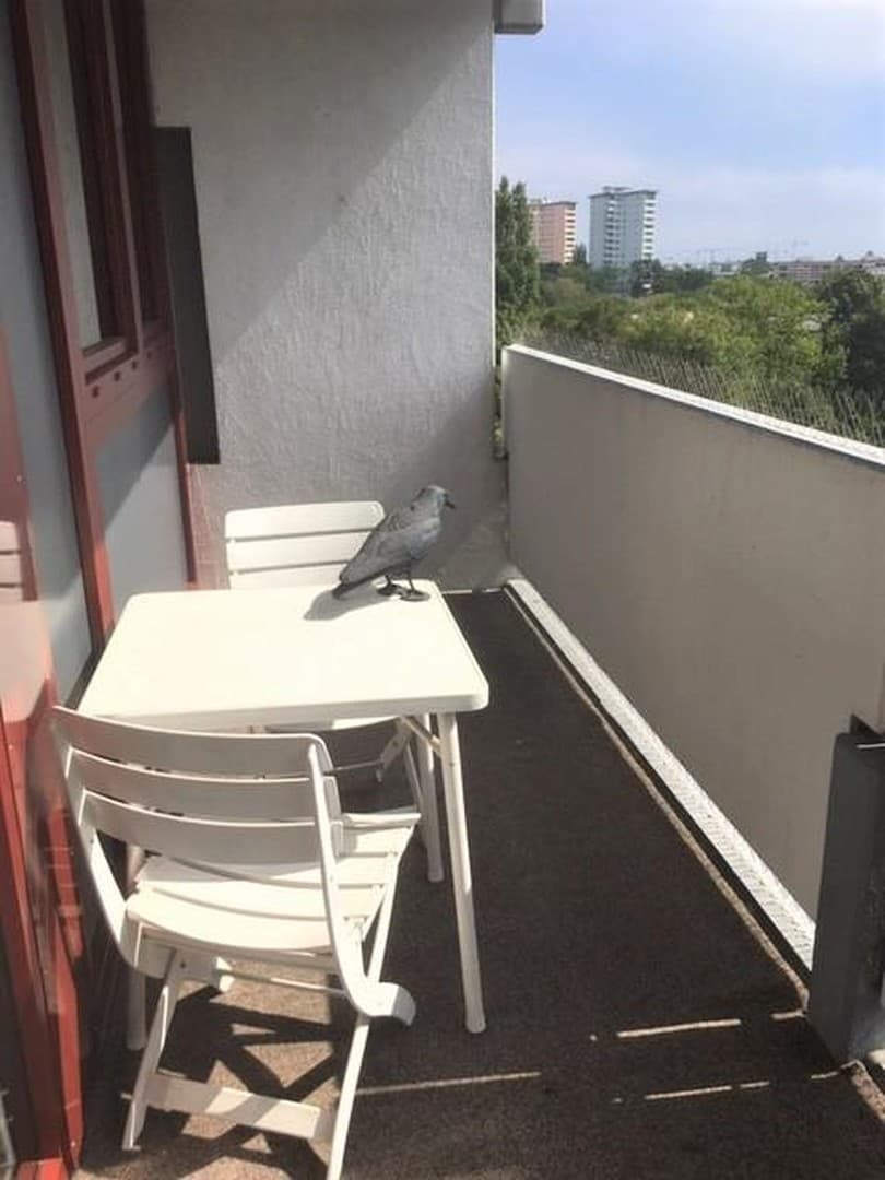 Freundliche 2-Zimmerwohnung mit separater Essecke und großem Balkon direkt am Südpark