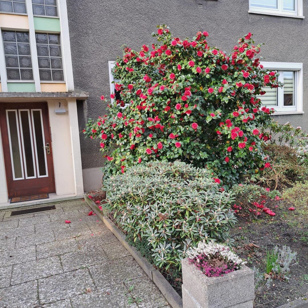 Gemütliche Dachgeschosswohnung mit moderner Einbauküche