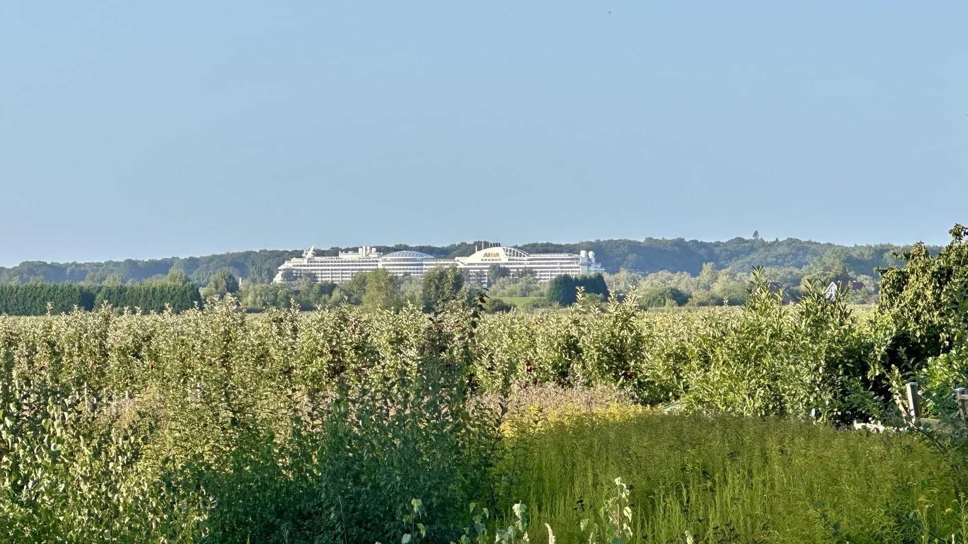 Jork-Leeswig Baugrundstück mit Panoramasicht auf Schiffe und Obstbäume