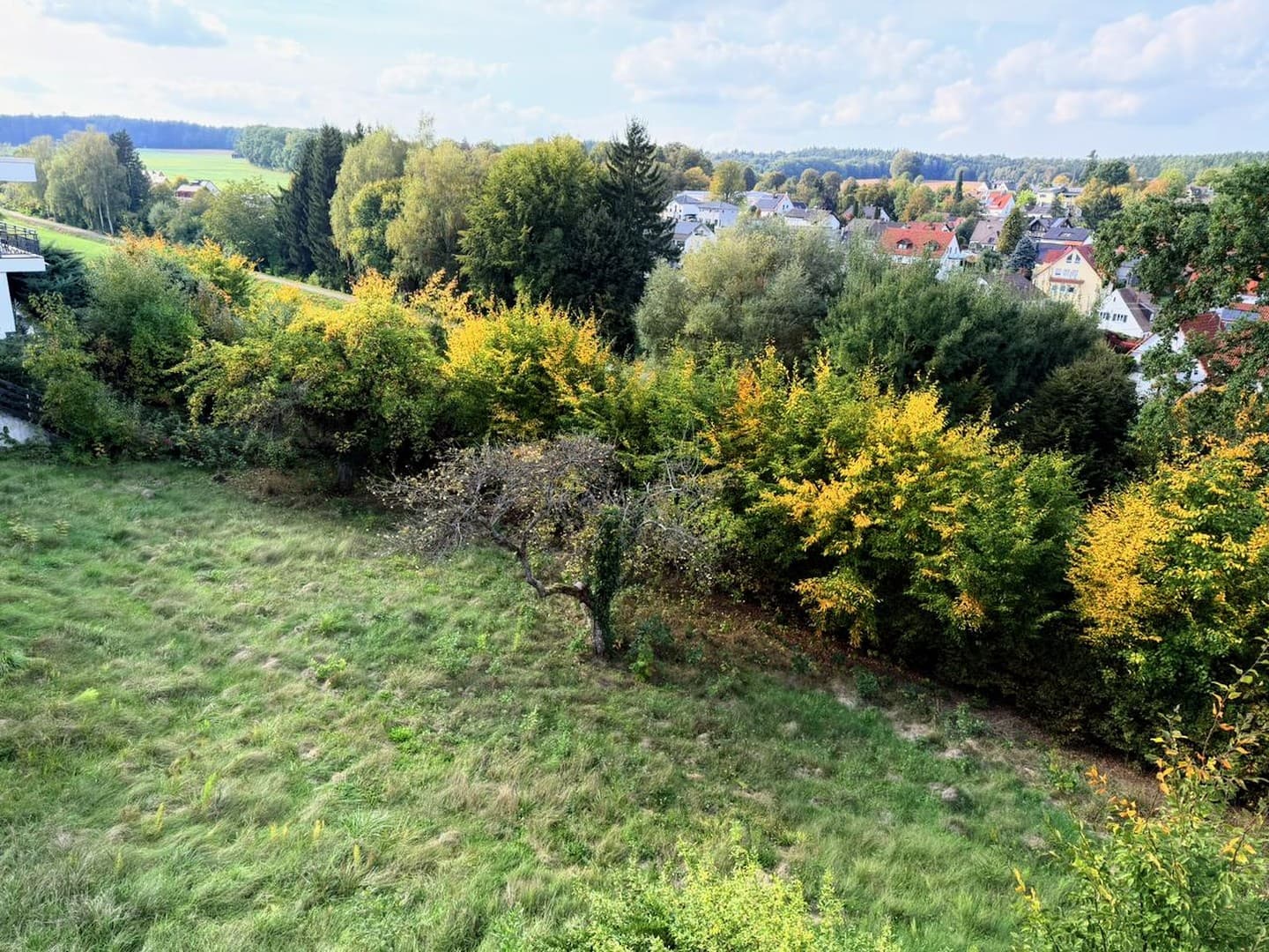 Traumgrundstück mit unverbaubarem Blick & Abendsonne