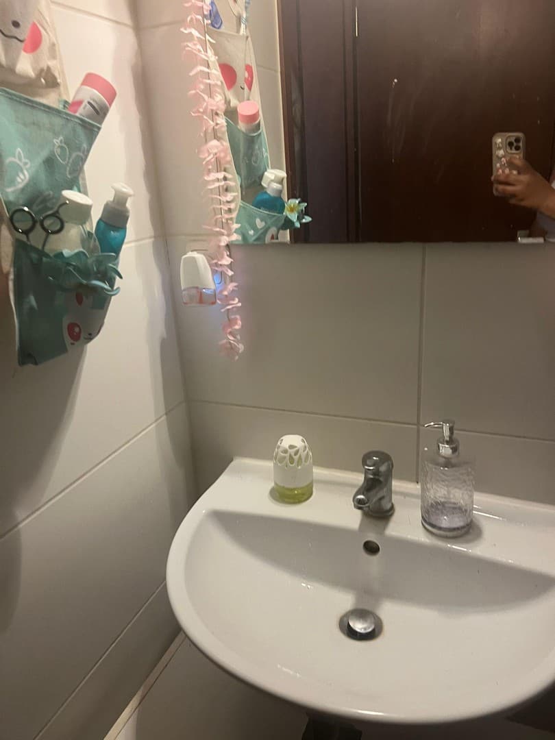Gemütliches Appartement in Mainz ab 15.01.2027 Renovierung vorher.
