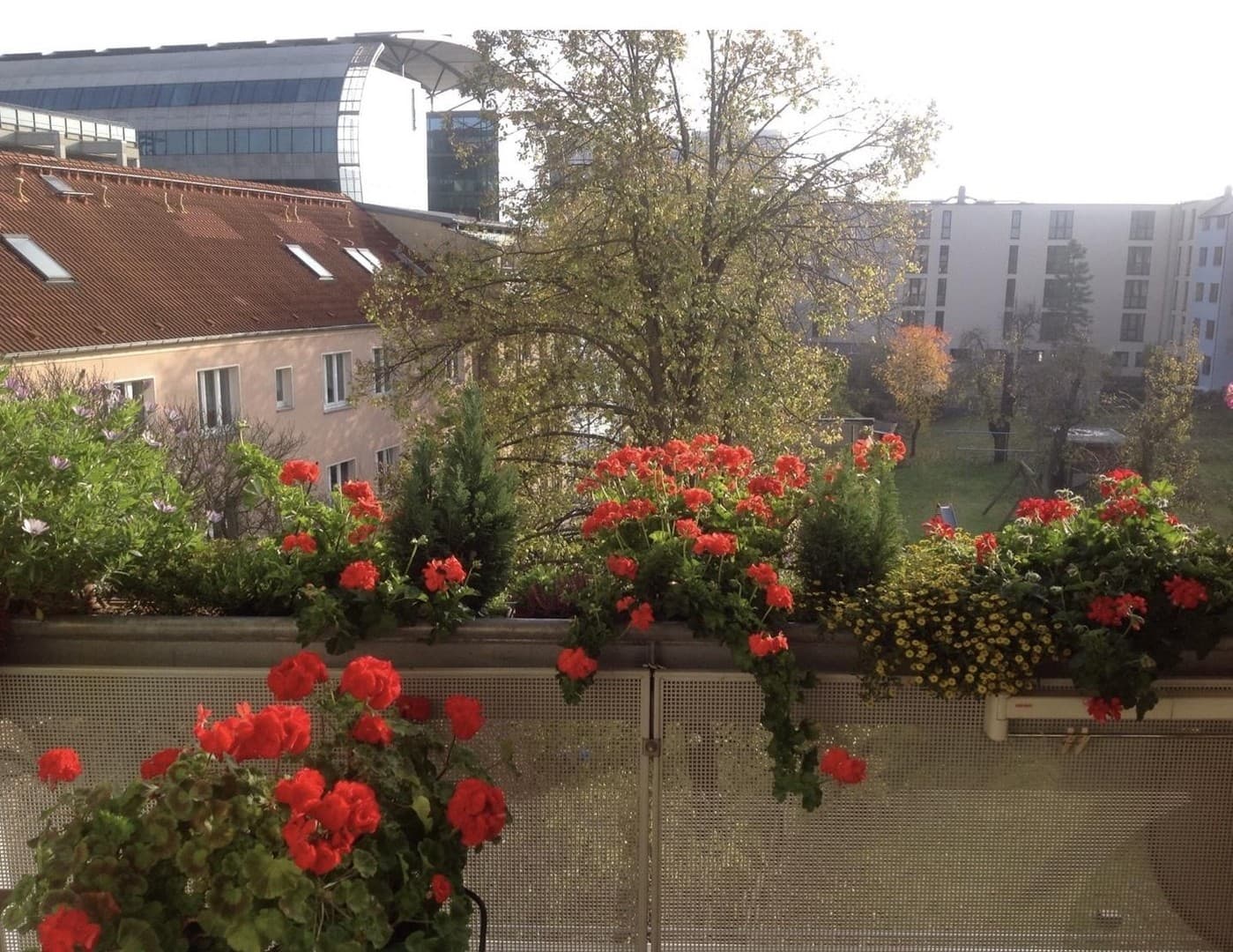 3,5 Zimmer, Südbalkon, Fahrstuhl, PKW-Stellplatz - Kröpeliner Tor Vorstadt