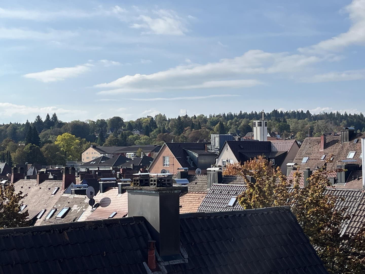 Schöne Dachgeschosswohnung mit ausgebautem Dachboden im Herzen Freudenstadts