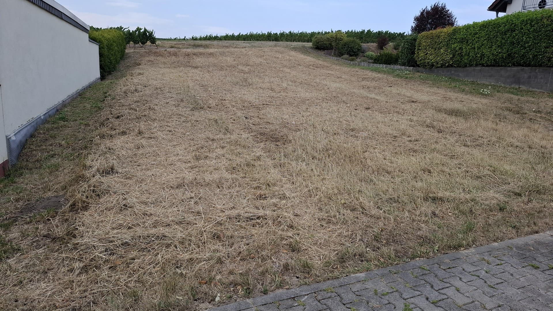 Traumhafte Feldrandlage! 550 m² Bauplatz in Welgesheim – voll erschlossen, Verkauf gegen Gebot