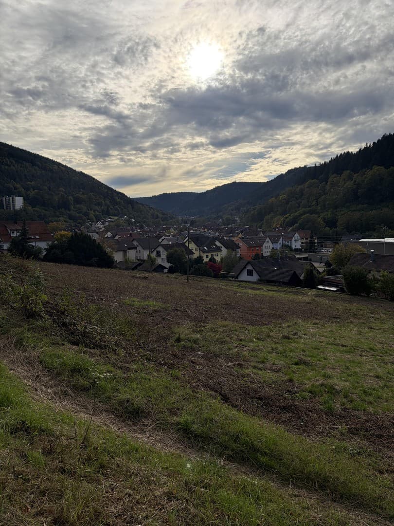 Ein Herzensprojekt voller Zukunft – 37 Wohnträume in Bad Wildbad-Calmbach