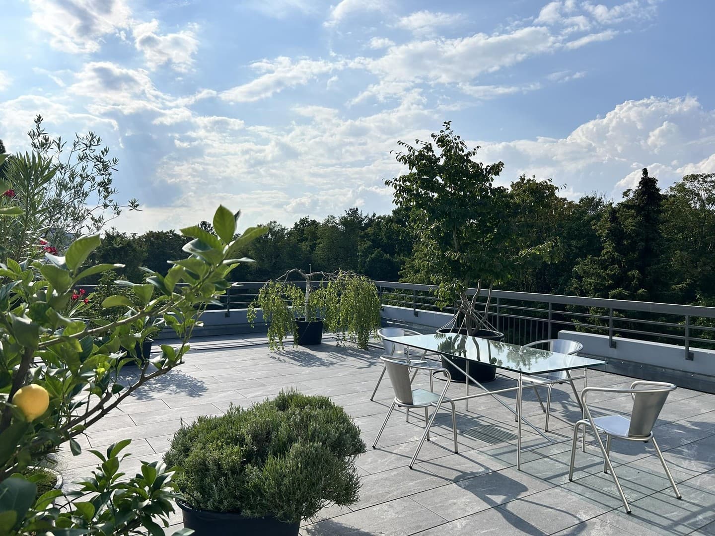 Penthouse mit außergewöhnlichen Terrassen in Stuttgart-Riedenberg