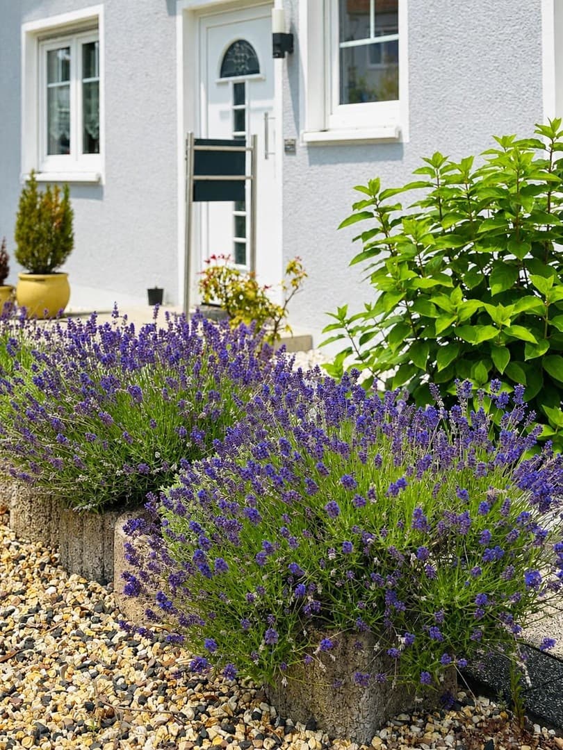 Ein Haus, das deutlich mehr bietet – beheizter Wintergarten, Garage + 2 Stellplätze
