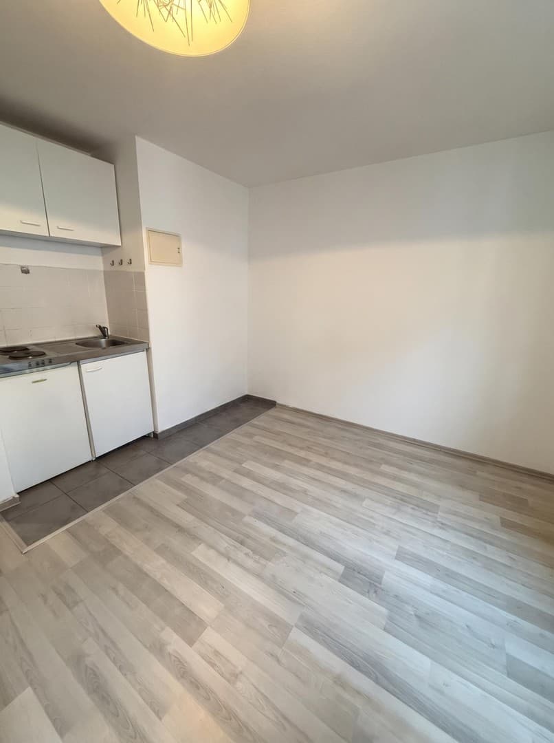 Gemütliches 1-Zimmer-Apartment in der Mannheimer Neckarstadt zu vermieten
