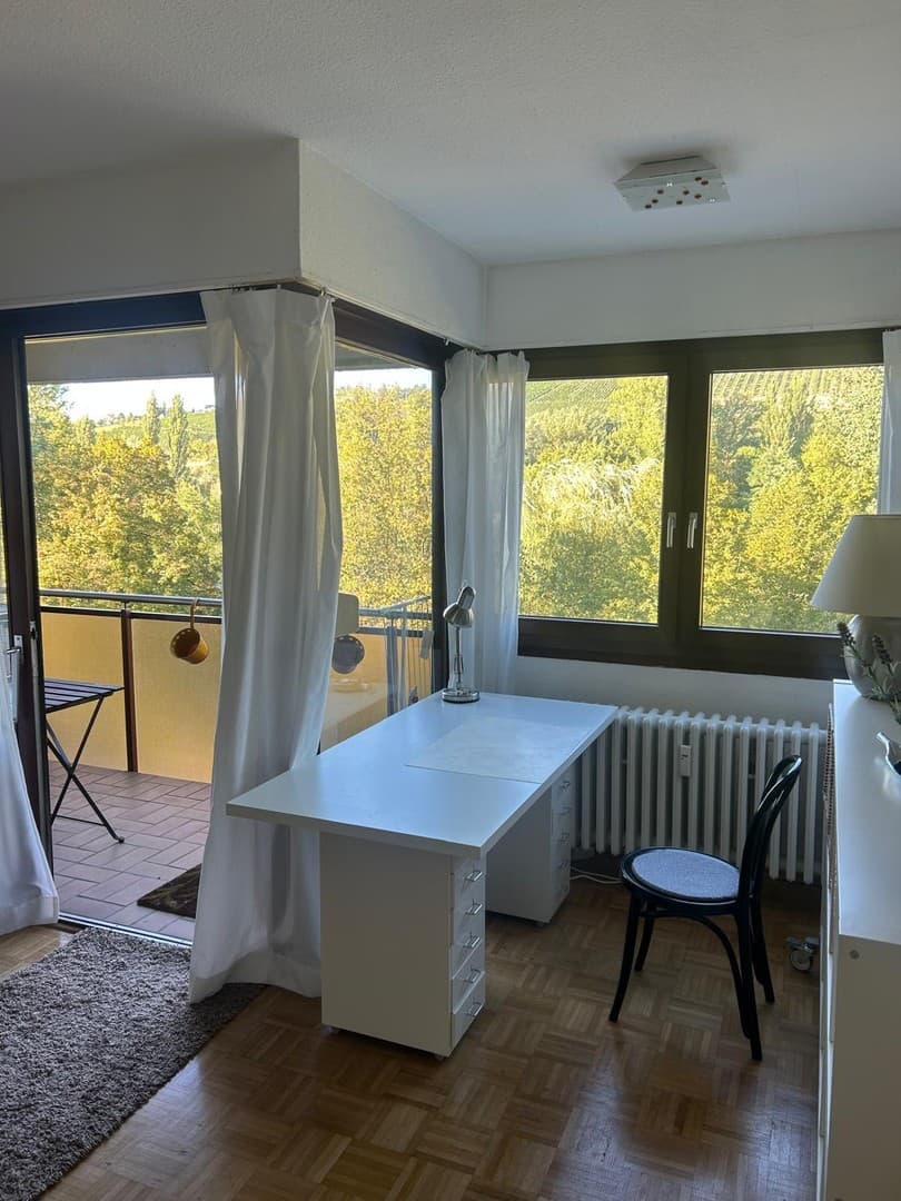 Provisionsfrei: Möbliertes Apartment mit Balkon und Weinbergblick in Heidingsfeld, sofort frei