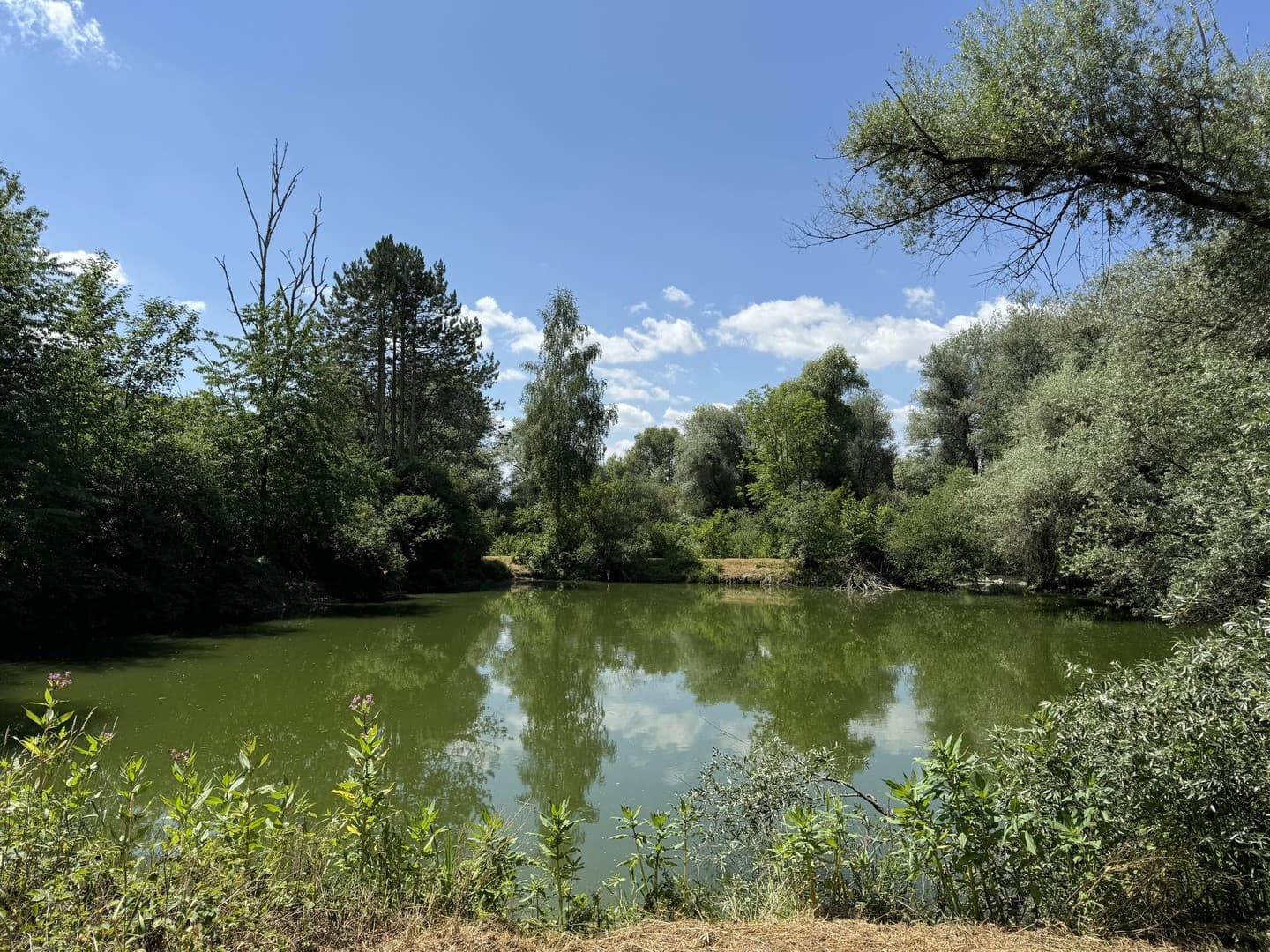 Idyllisches Teichgrundstück in Riedlingen an der Donau