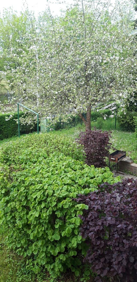 5-Zimmer Wohnung Bad Kissingen-Winkels 137m² 2 Bäder-Balkon-Garage