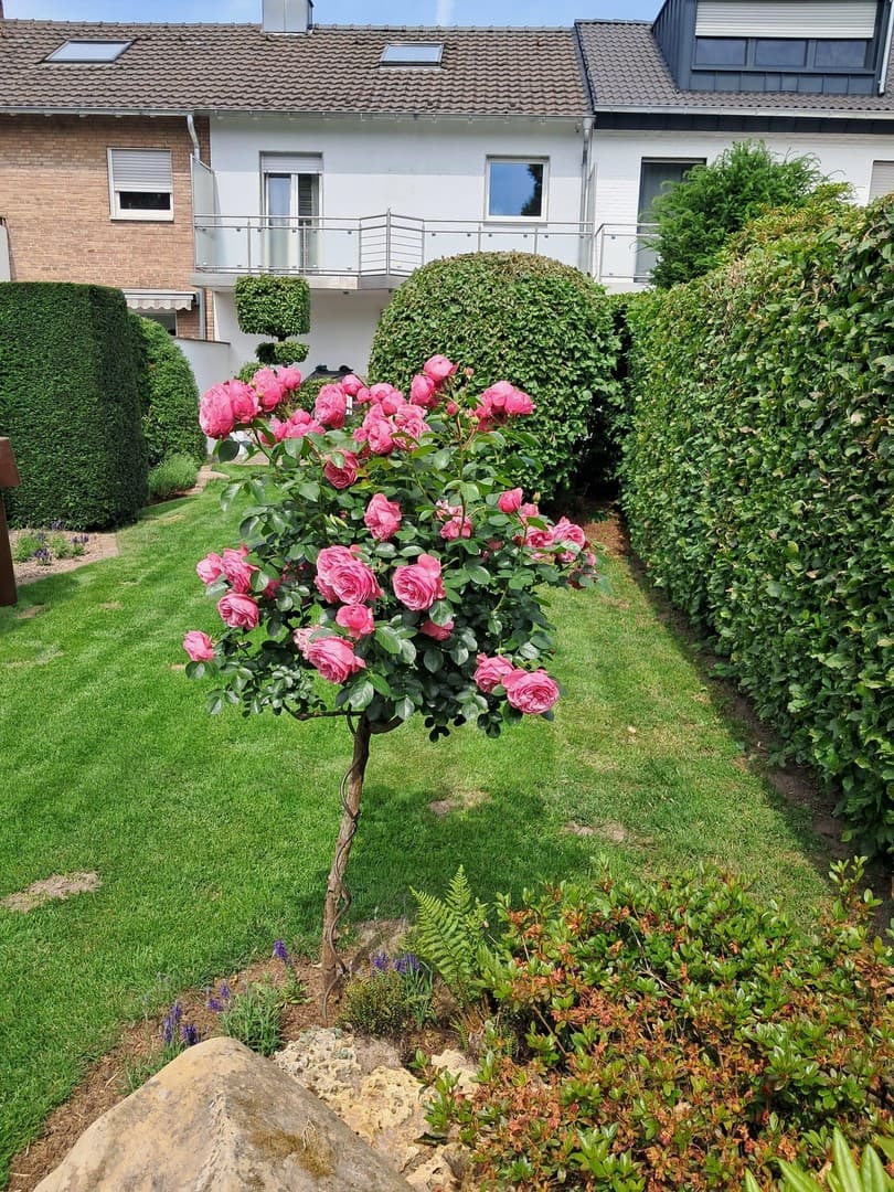 Zuhause im Grünen