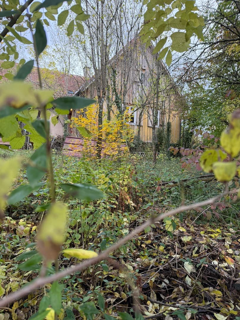 Hexenhäuschen im Schwäbischen Wald sucht zauberhafte Bewohner