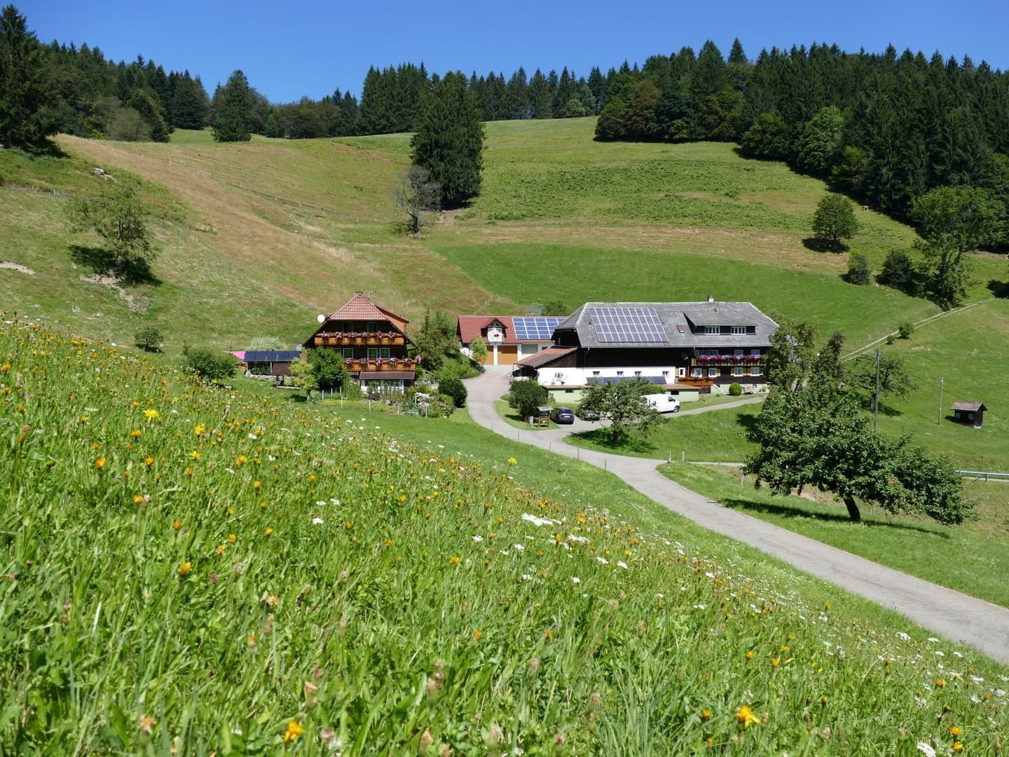 Schwarzwaldhaus/ Mehrfamilienhaus in Südlage, mit Blick ins Tal, 2 seperate Wohnungen