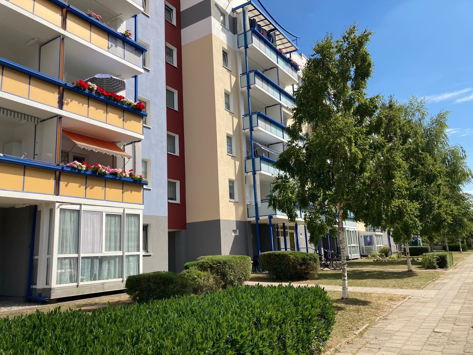 ++ 3 Zimmer mit Blick auf den Stadtwald ++