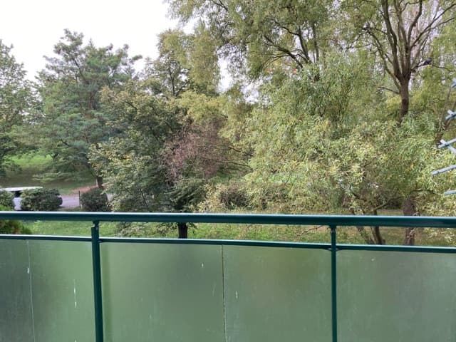 Frisch saniertes Wohnhighlight mit Balkon & offener Küche