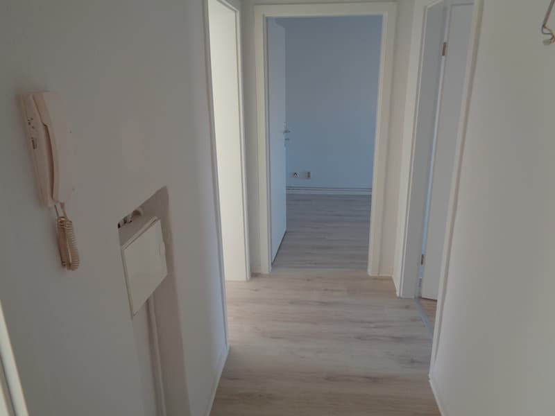 3 Raum Wohnung auf dem Klingenberg Nachmietersuche