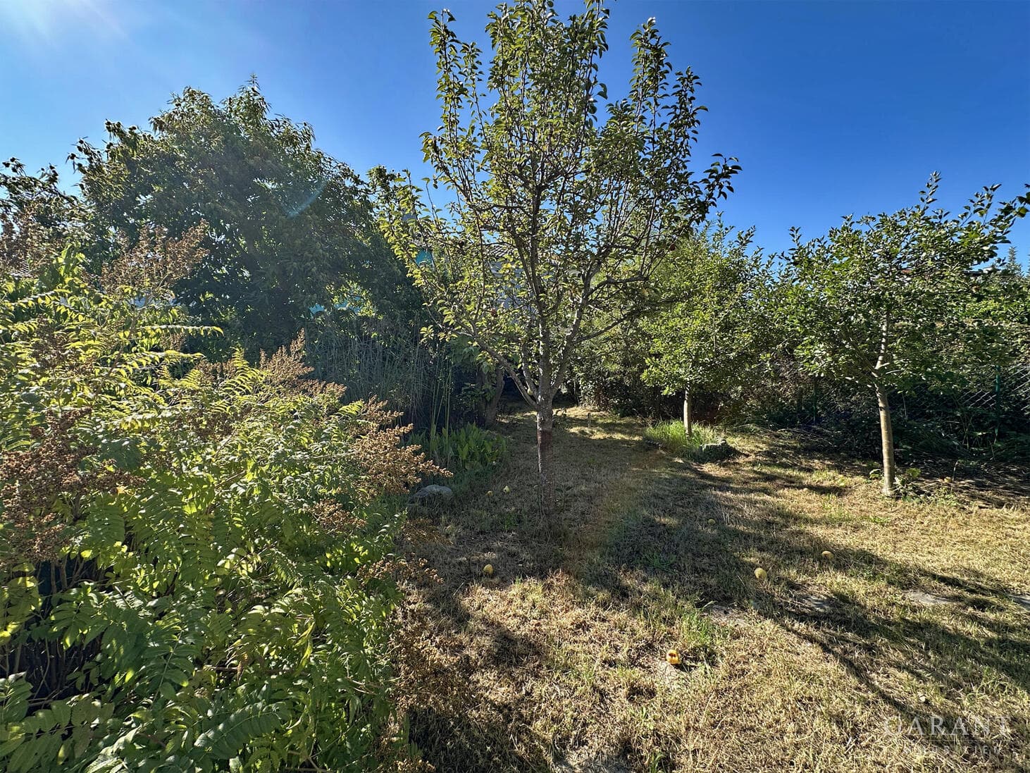 Reiheneckhaus mit Garten und Entwicklungspotenzial