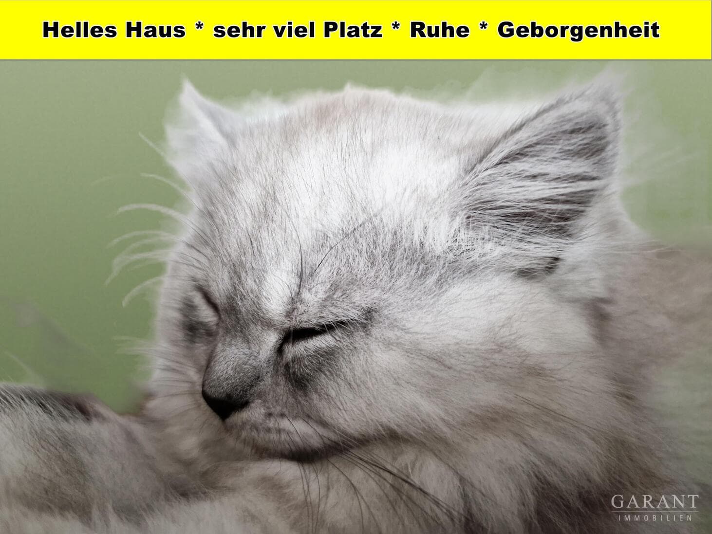 ** Großes Haus * 8 Zimmer * ELW * ruhige Lage **