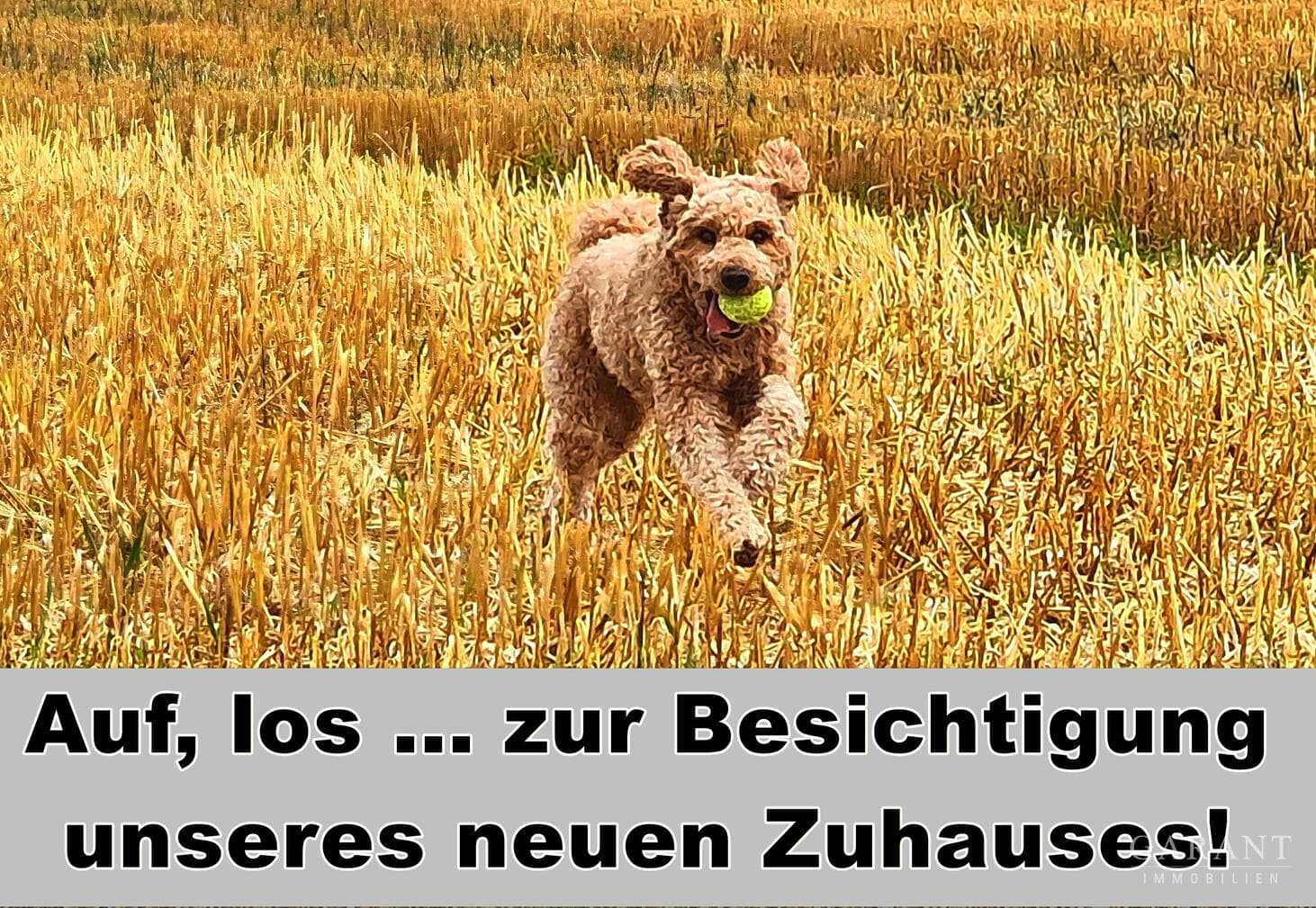 *** Hier wächst Zukunft ***