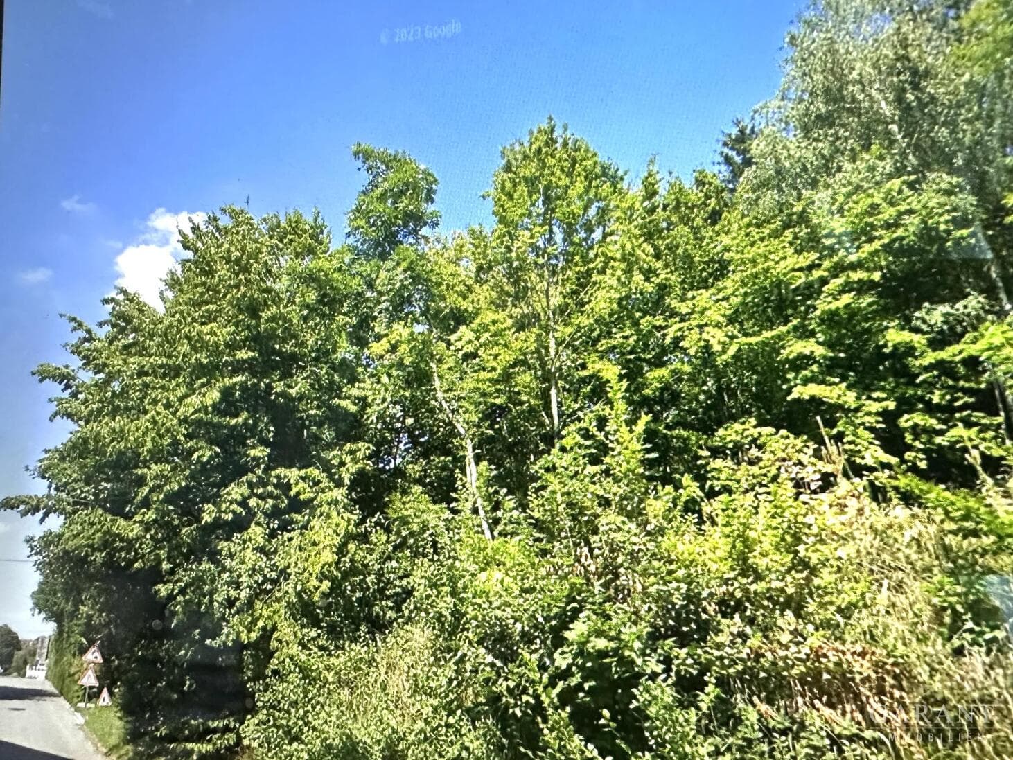 Interessantes Südhanggrundstück mit Fernblick, evtl. auch teilbar!