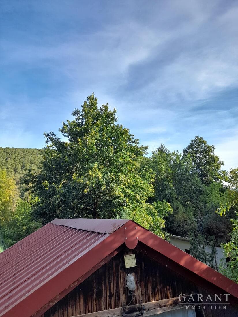 Raus aus dem Alltag - rein in die Natur
