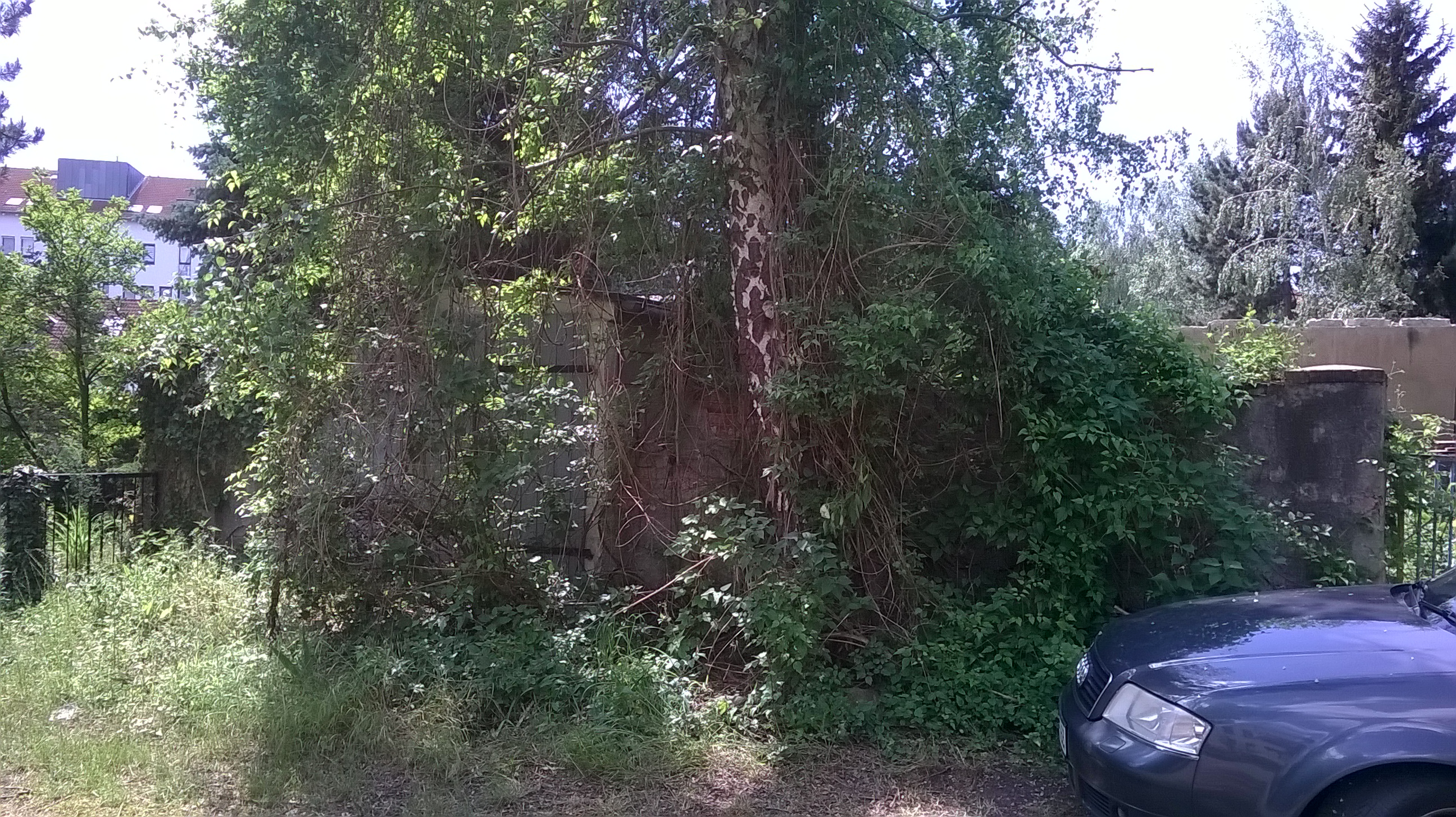 Property thumbnail 5