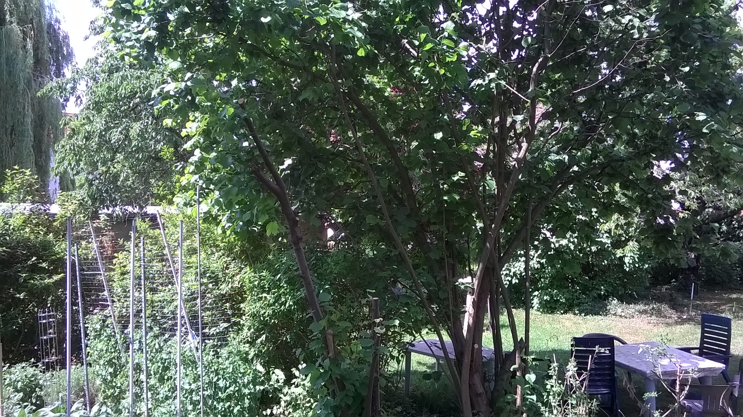 Property thumbnail 4