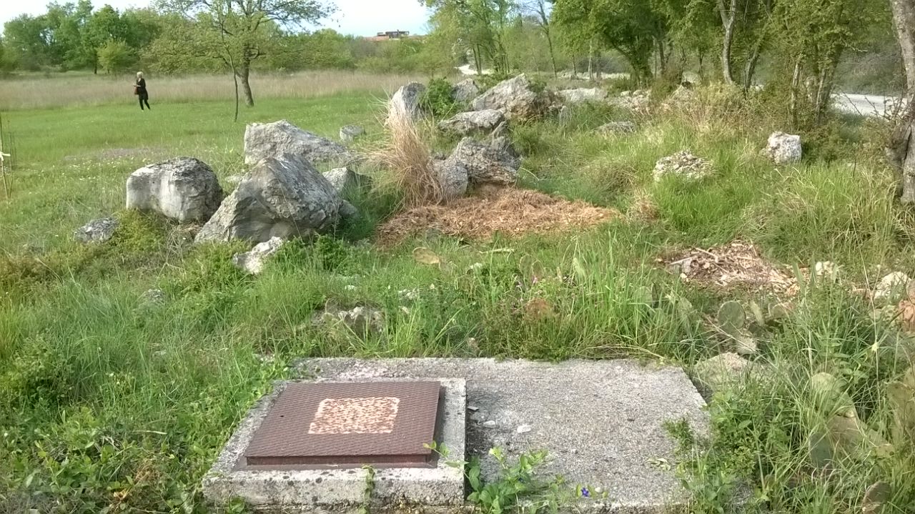 bg
