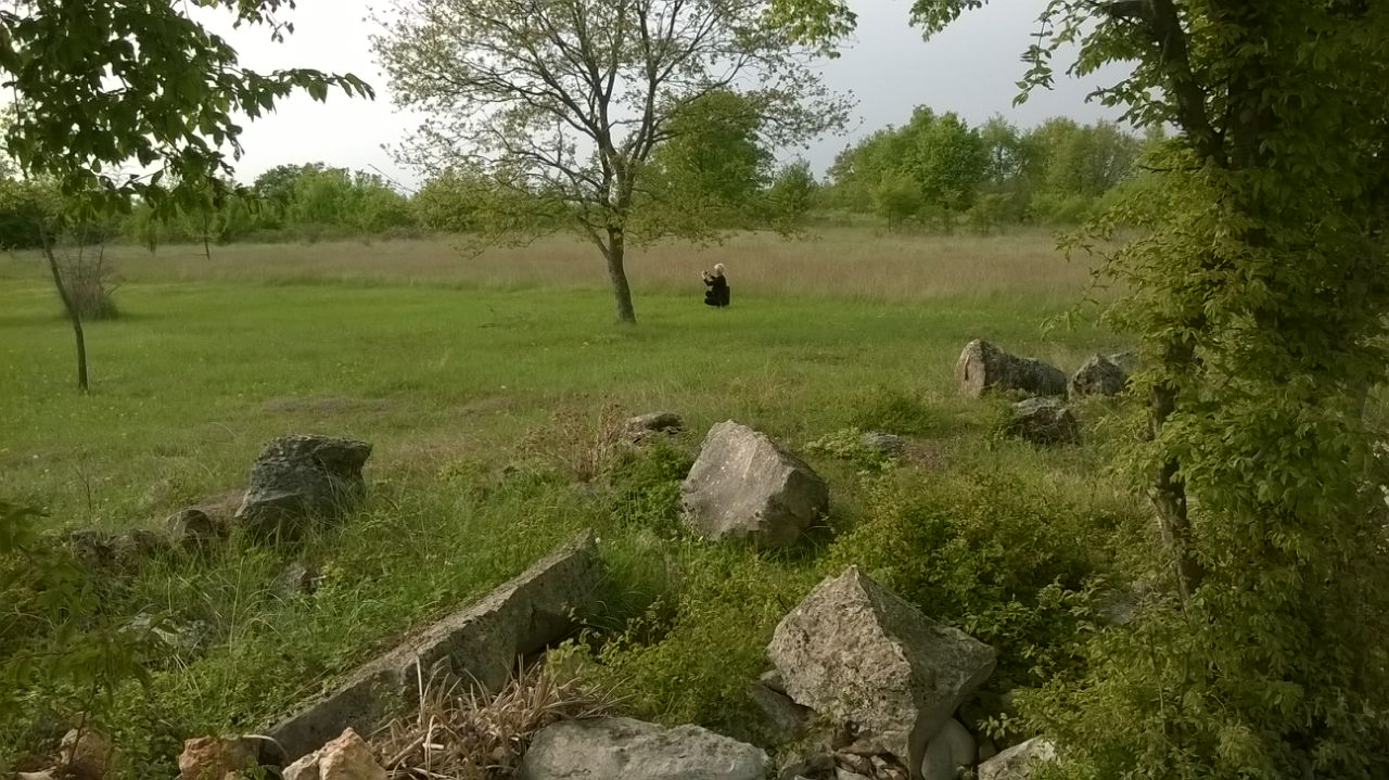bg