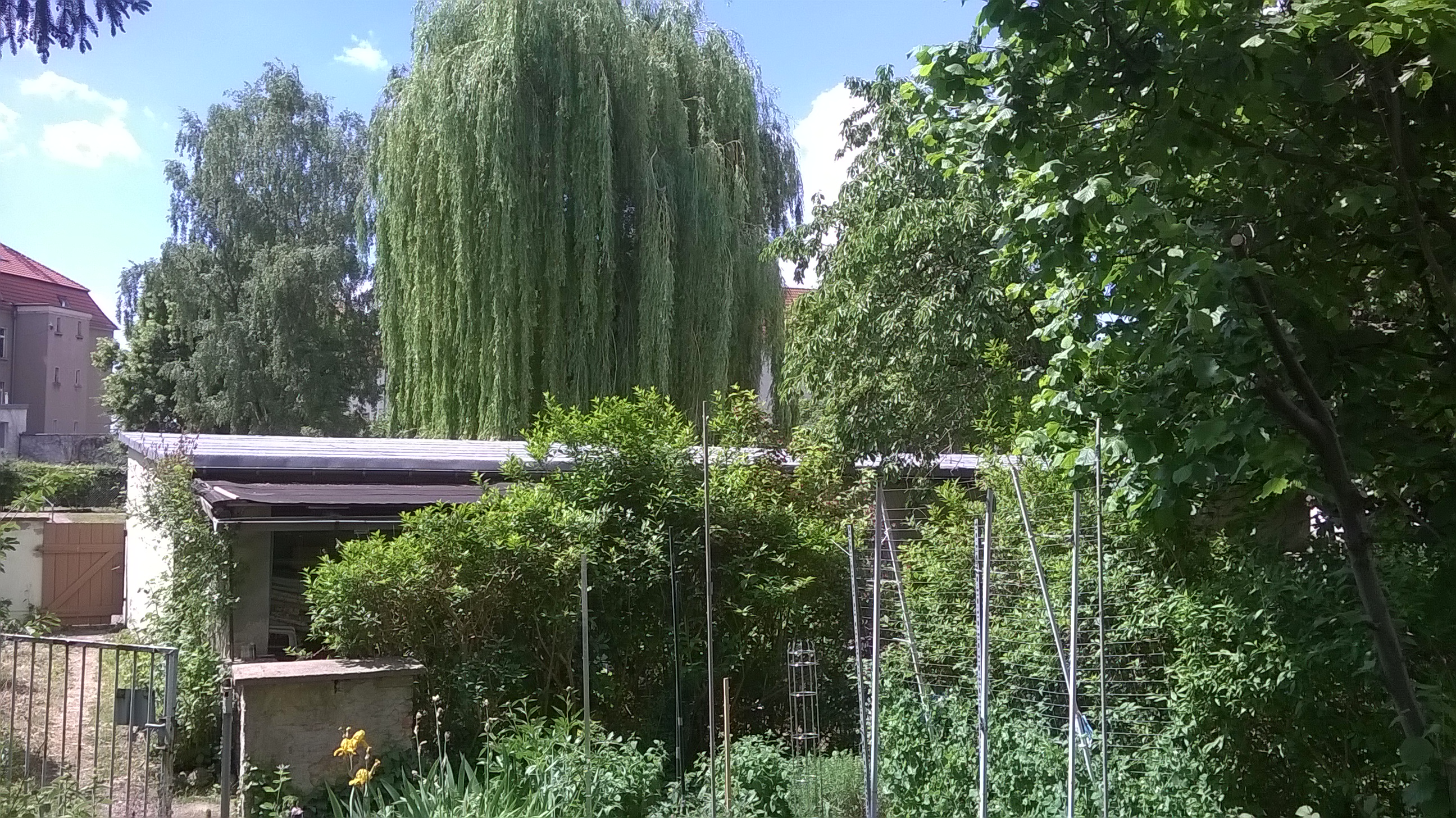 Property thumbnail 7