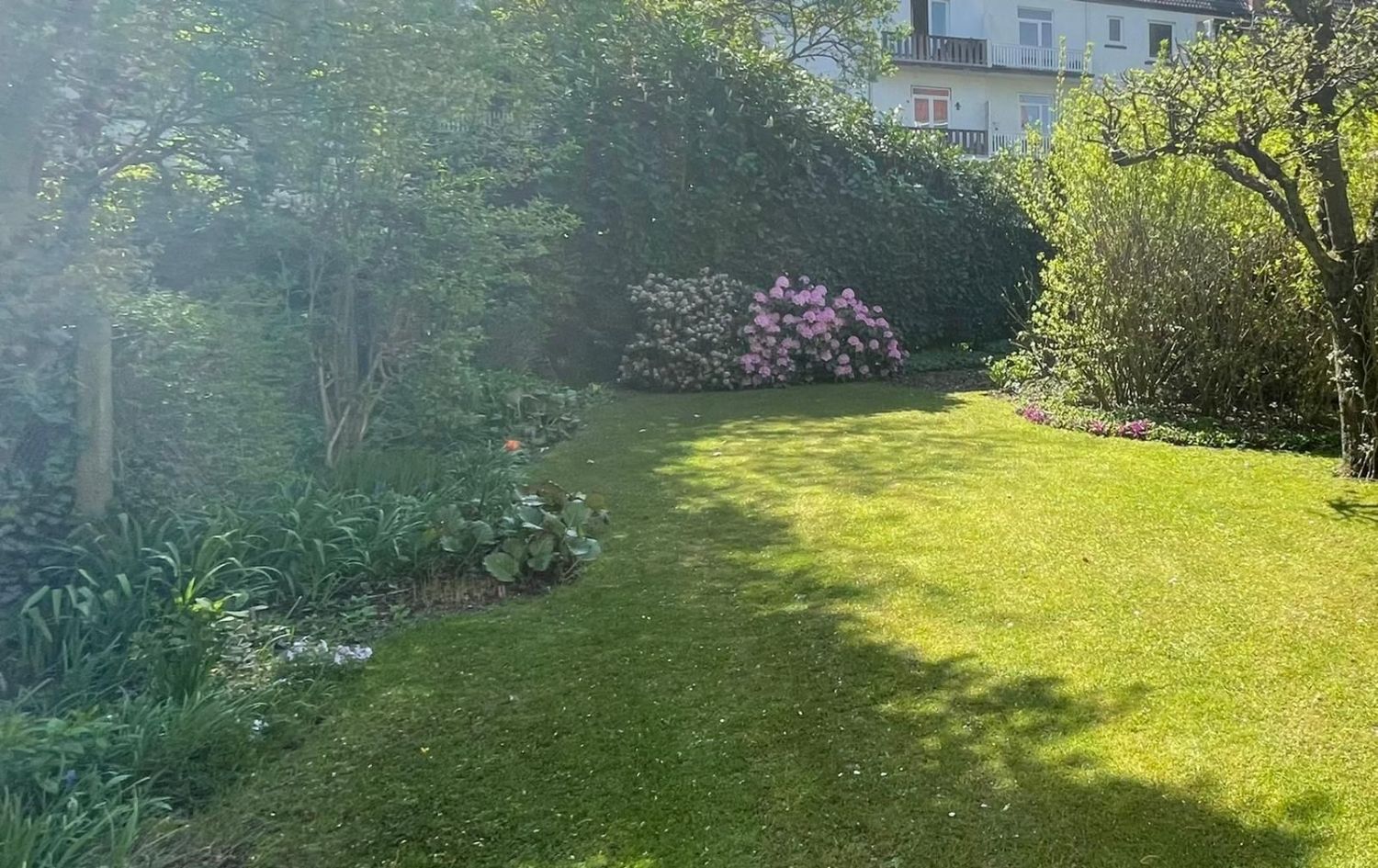 Property thumbnail 3