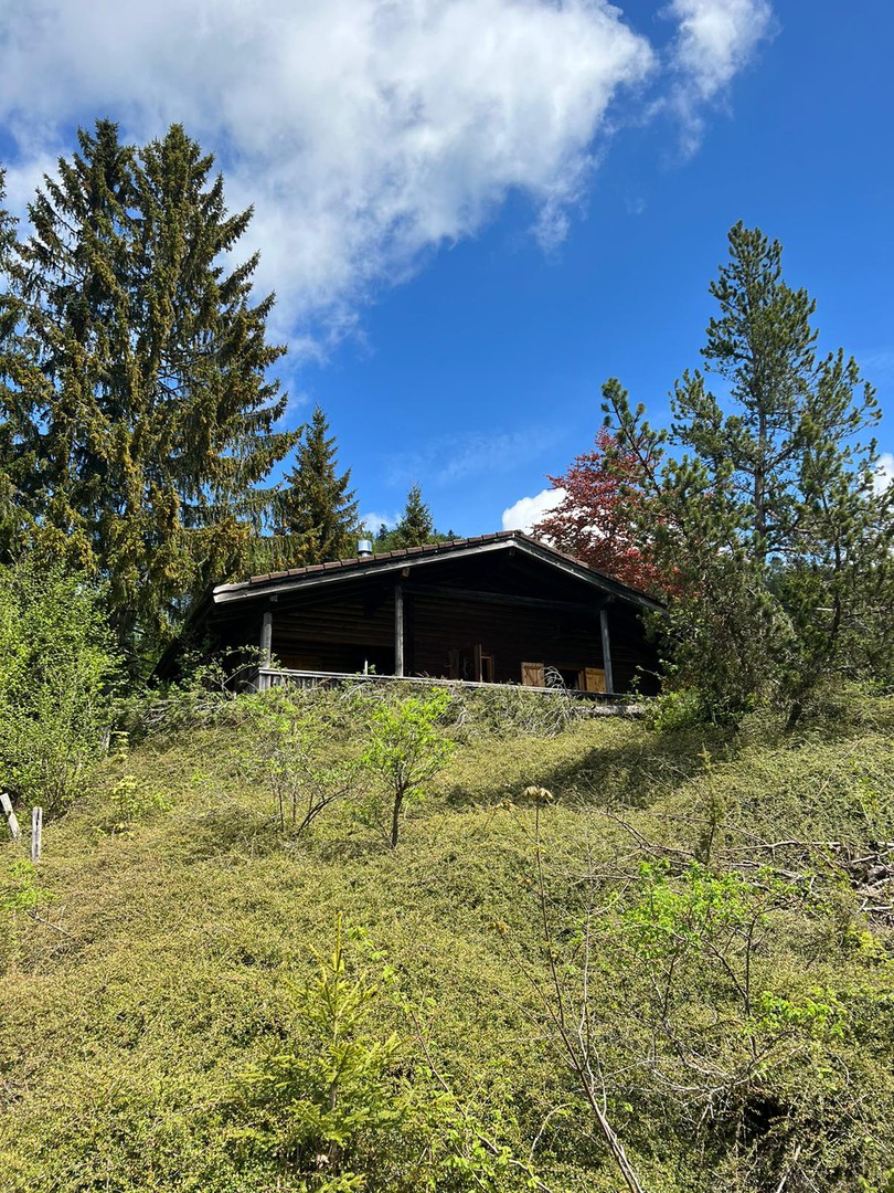 bg