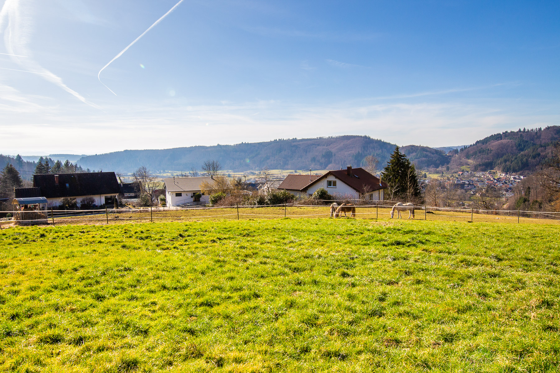 Ideal gelegene Baugrundstücke in Schopfheim-Raitbach
