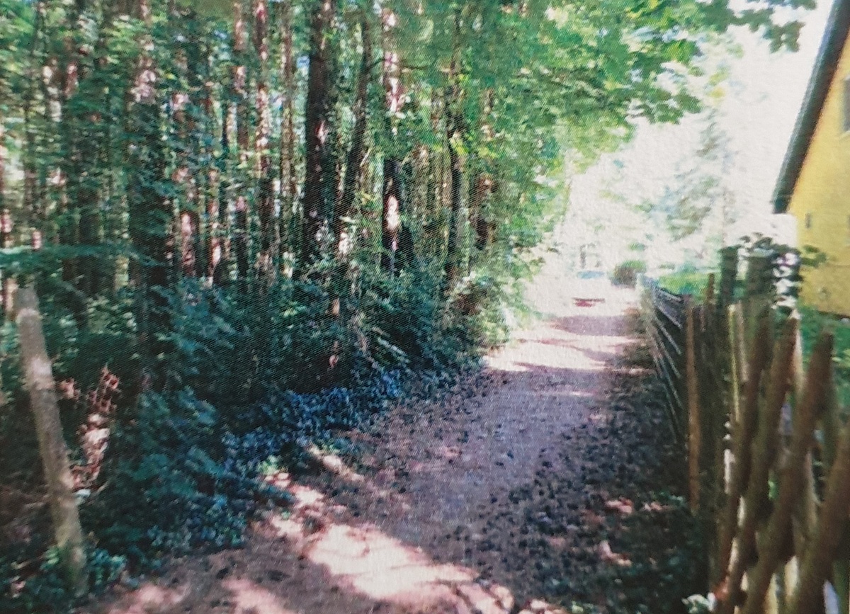 bg