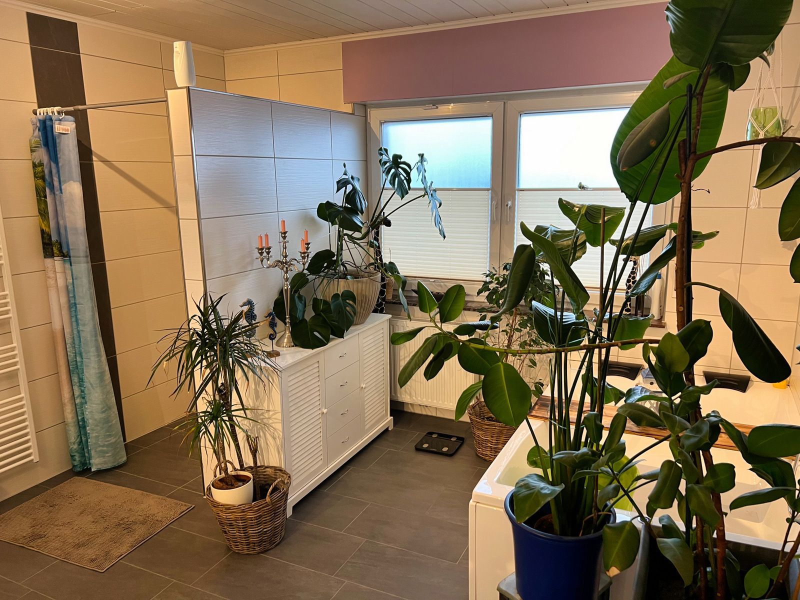 EFH mit Einliegerwohnung - perfekt für 3-Generationen-Haushalte! – Bockhorst – Vorschaubild 12