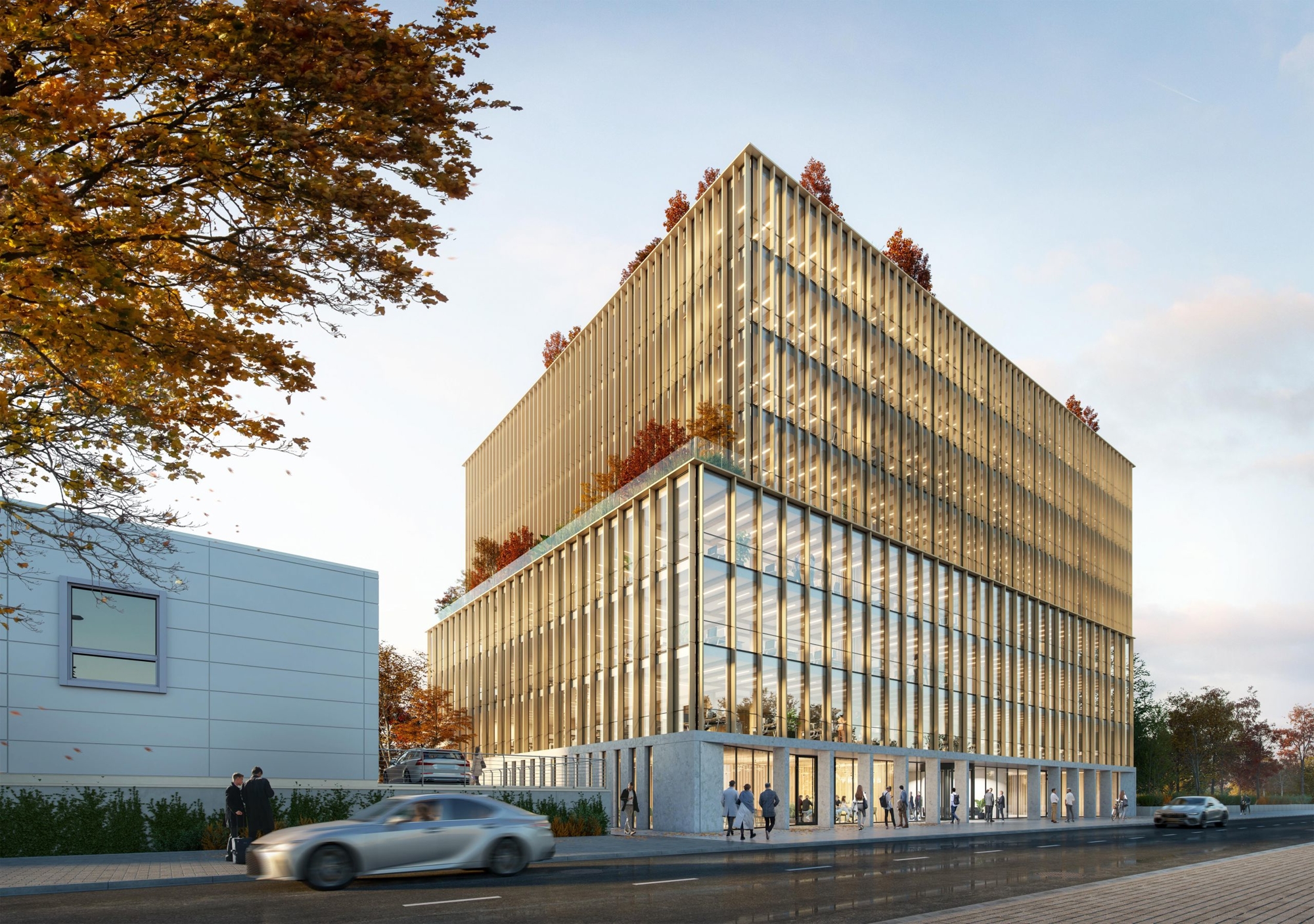 bg