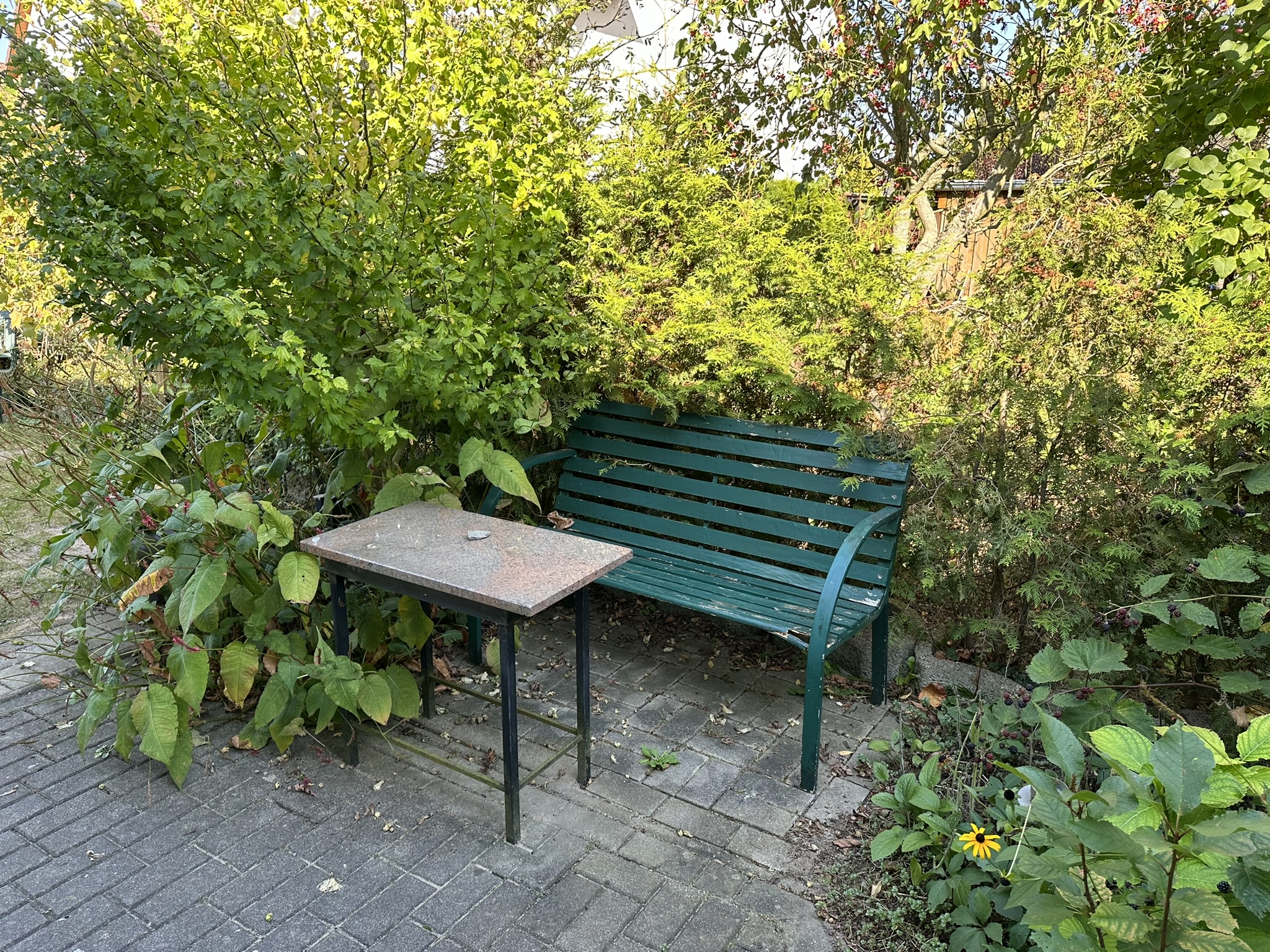 Bungalow mit Wintergarten und Kamin – Neubrandenburg, Meckl – Vorschaubild 12