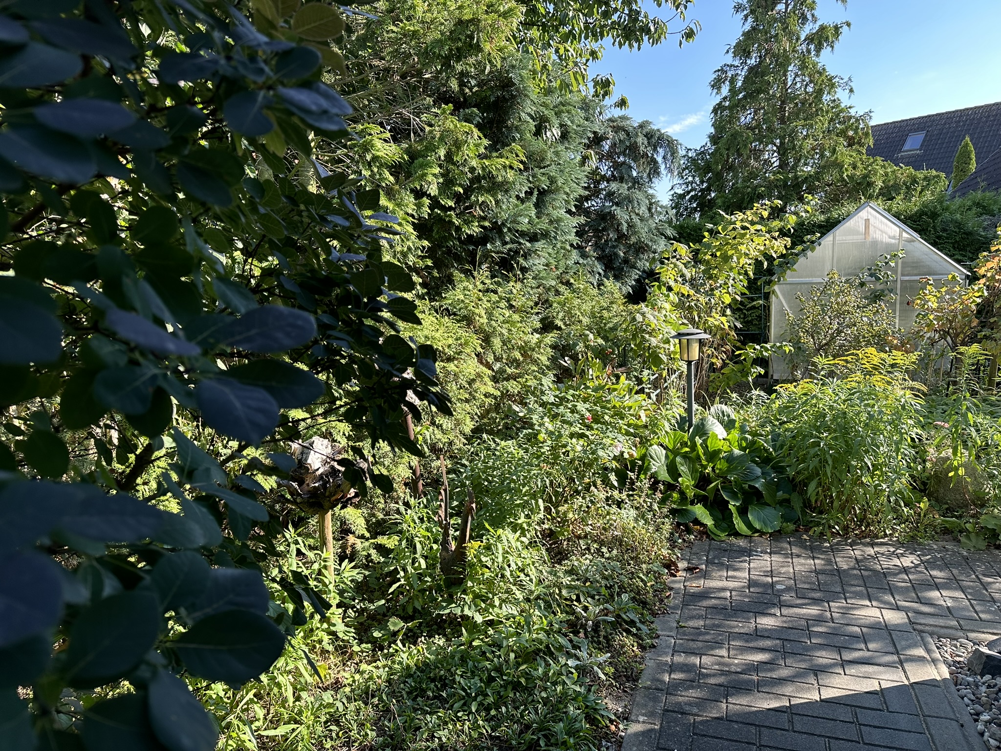 Bungalow mit Wintergarten und Kamin – Neubrandenburg, Meckl – Vorschaubild 13