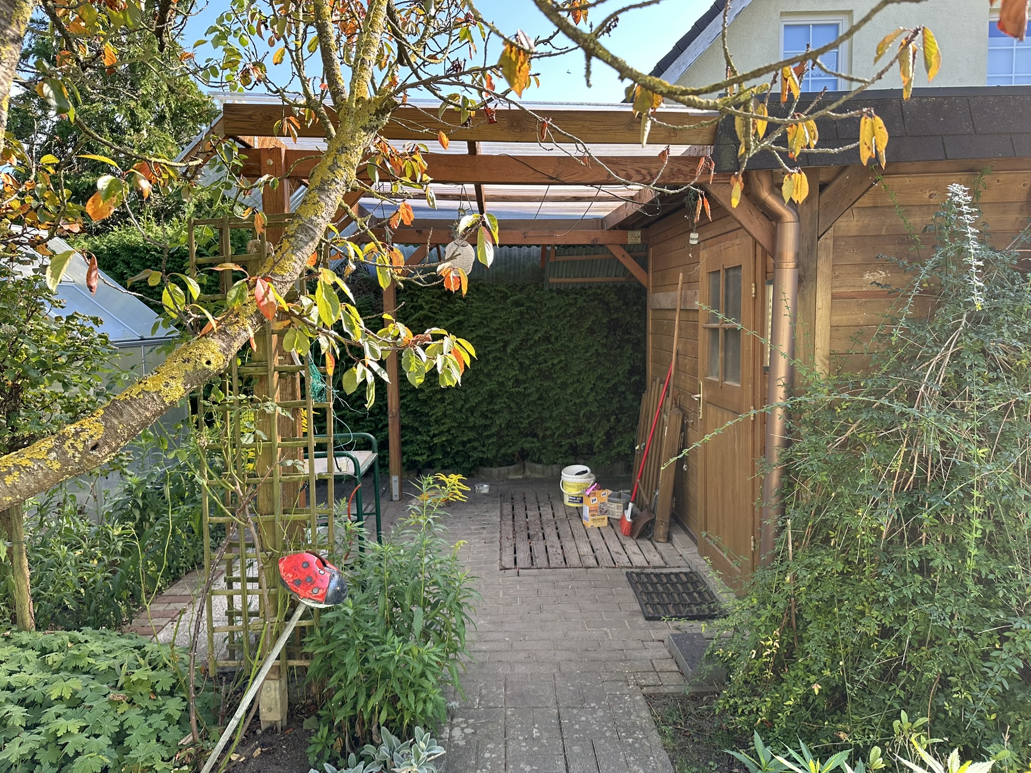 Bungalow mit Wintergarten und Kamin – Neubrandenburg, Meckl – Vorschaubild 15
