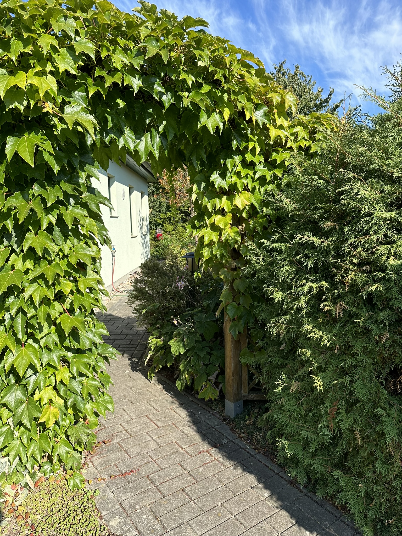 Bungalow mit Wintergarten und Kamin – Neubrandenburg, Meckl – Vorschaubild 19