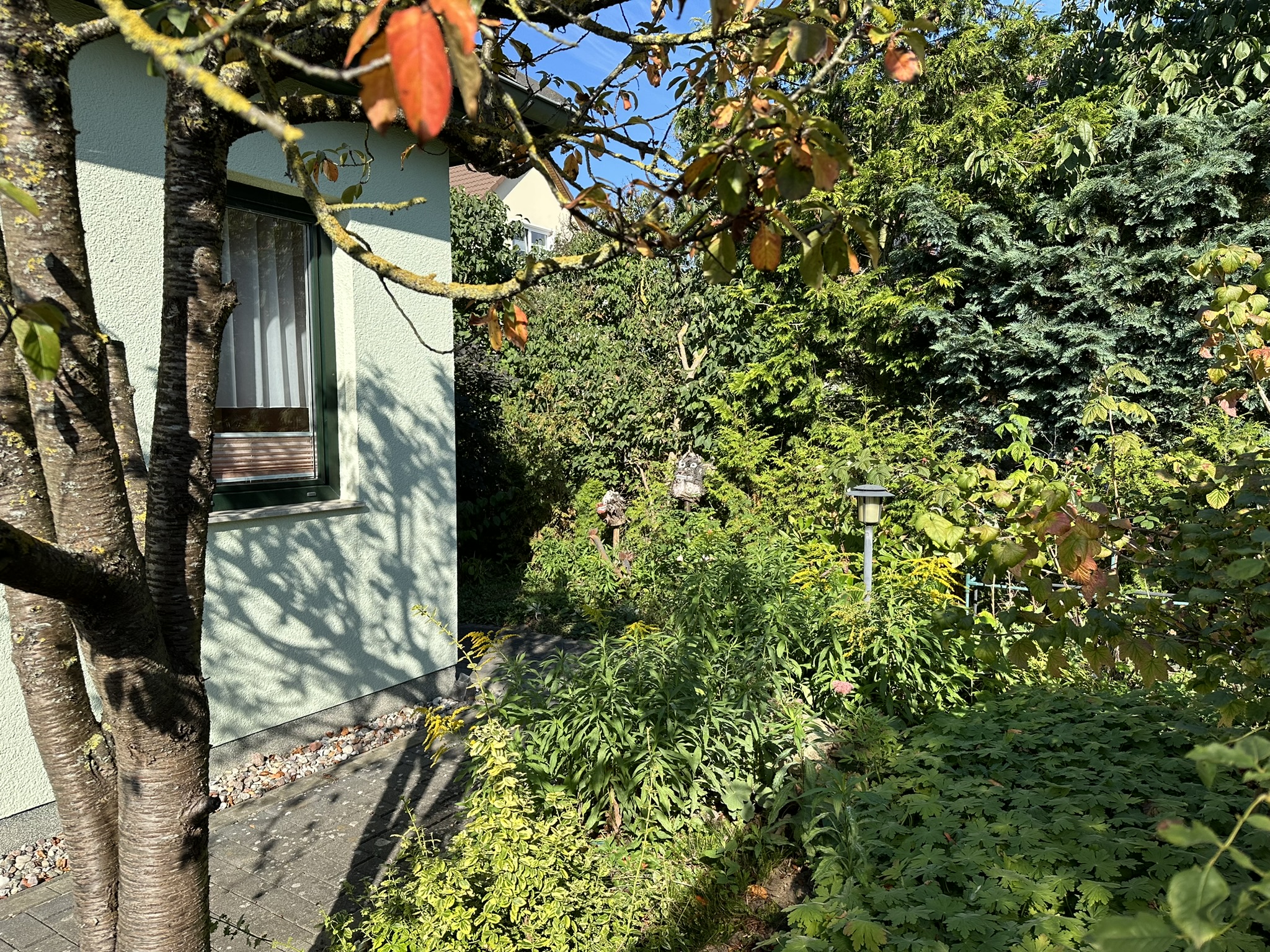 Bungalow mit Wintergarten und Kamin – Neubrandenburg, Meckl – Vorschaubild 20