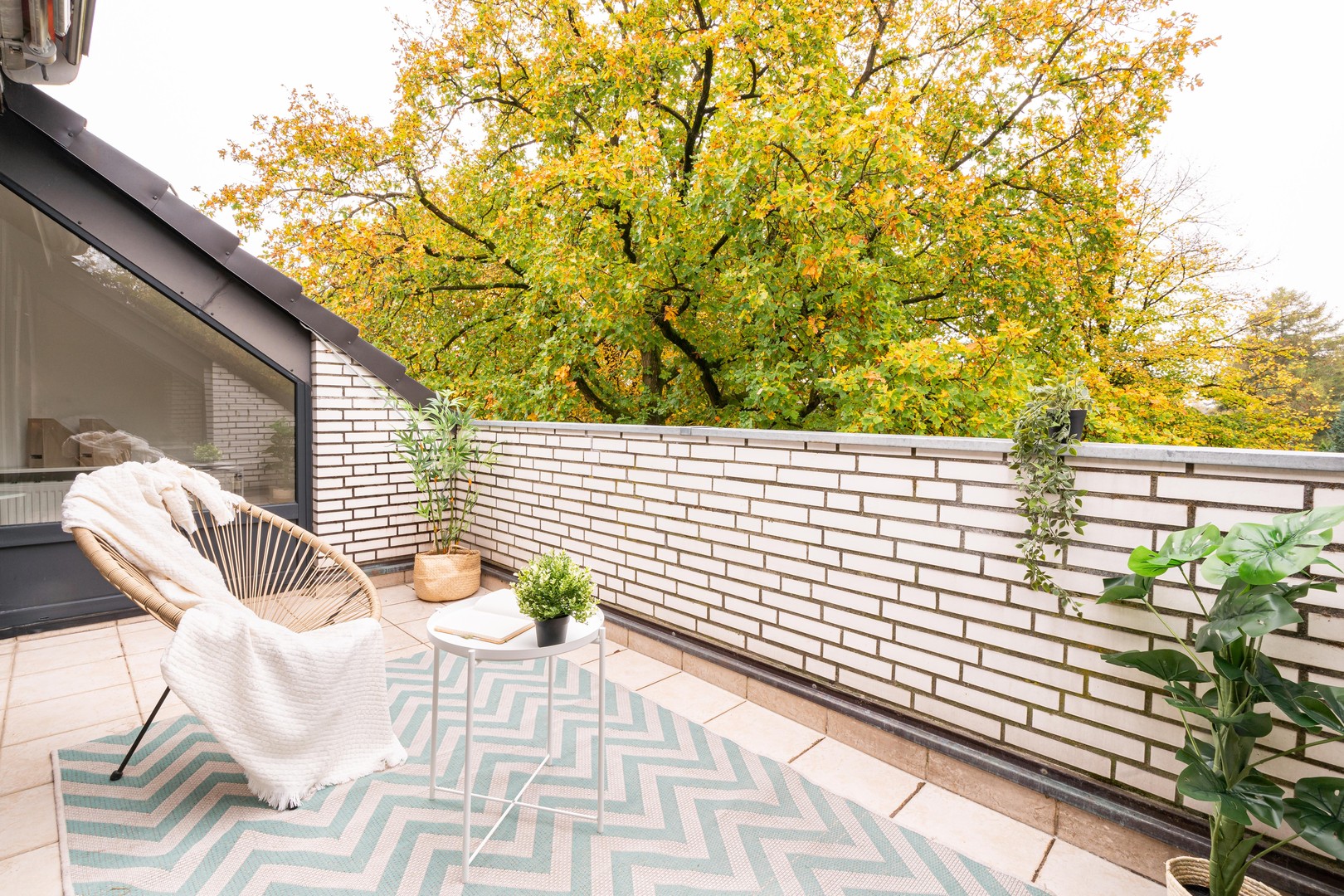 Property thumbnail 8