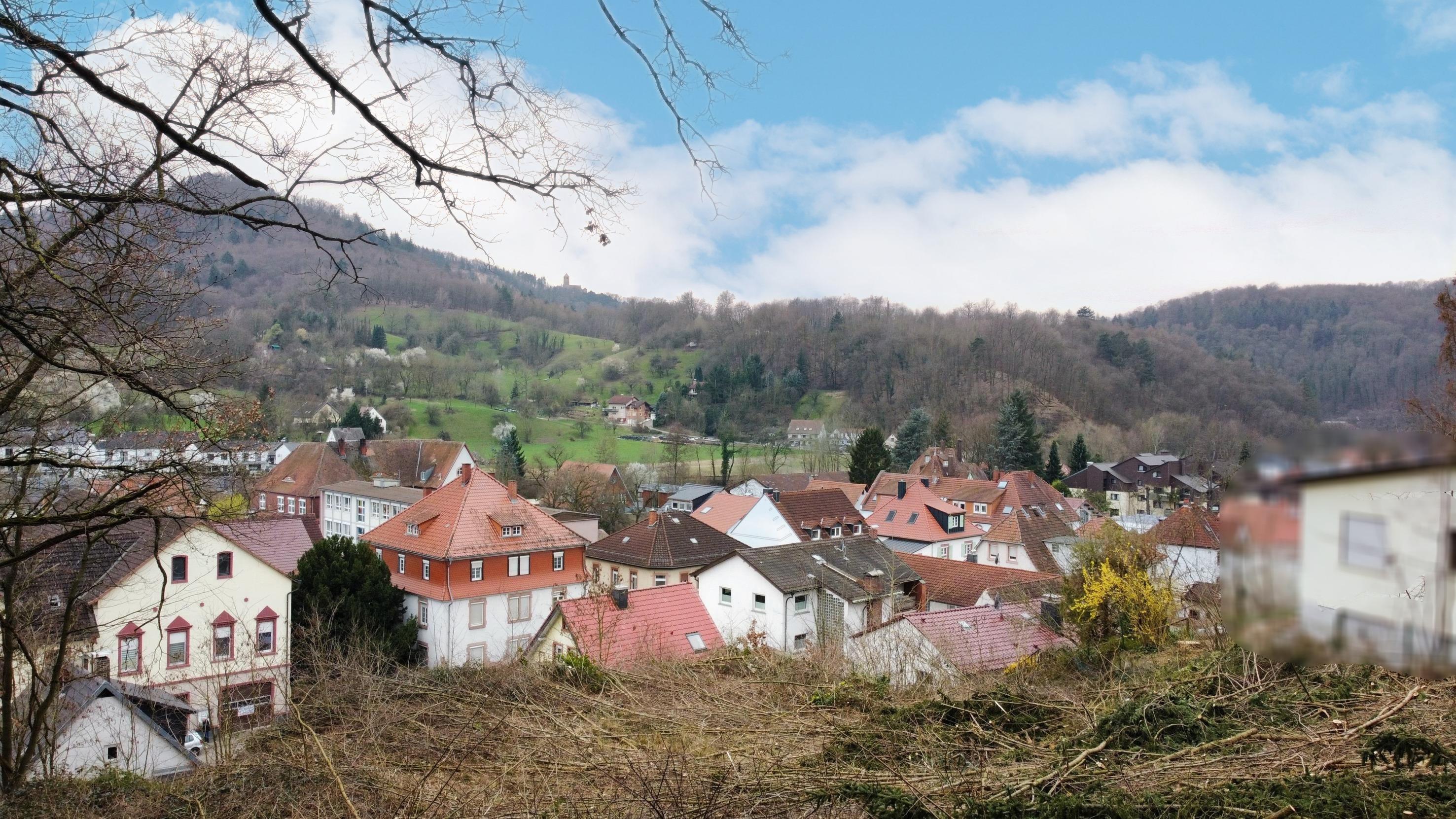 bg