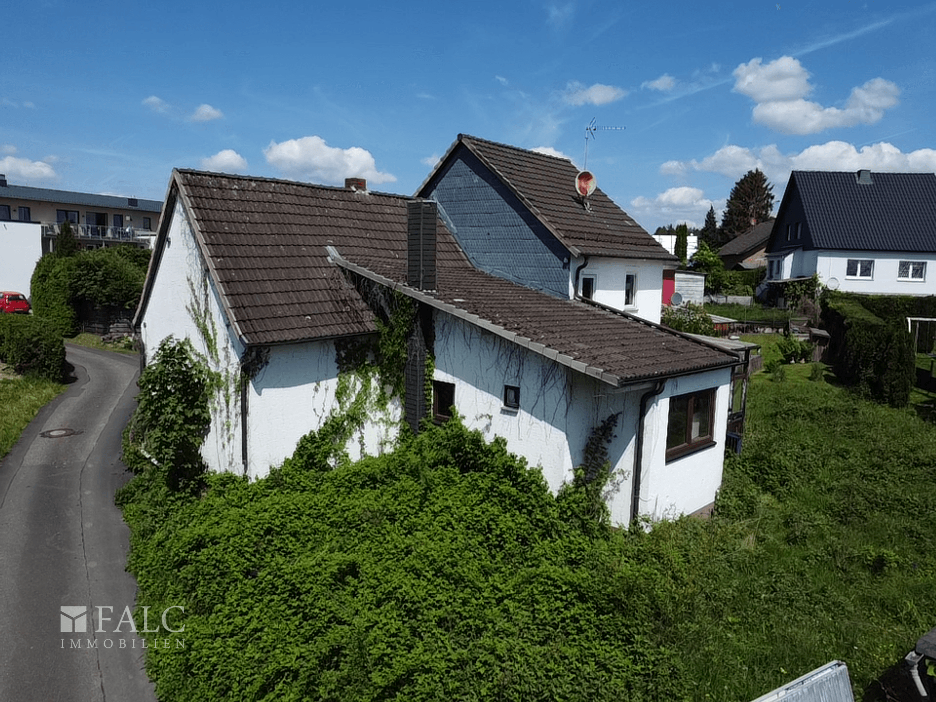 bg